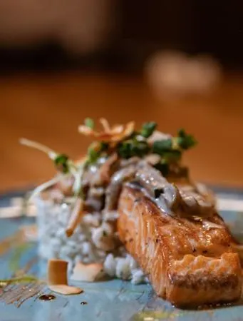 Aparthotel Zlatni Javor 4*